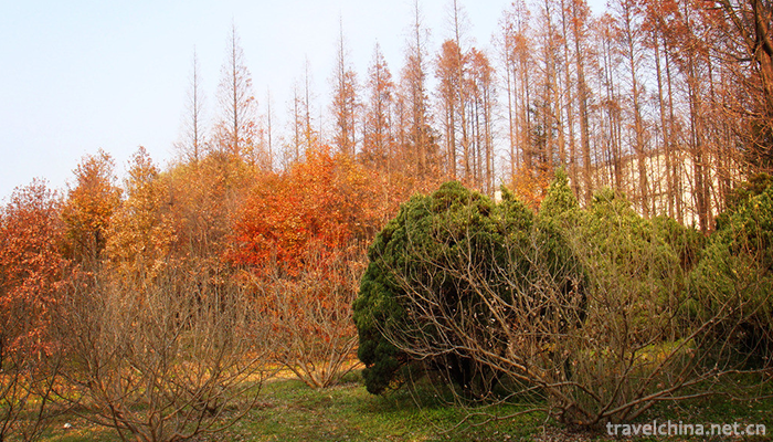 GongQing-Forest-Park-2