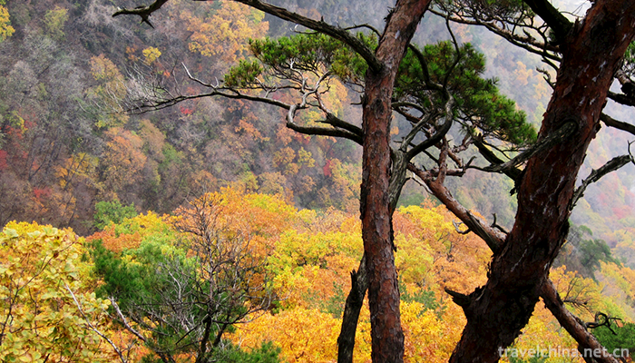 Guanmenshan-National-Forest-Park-10