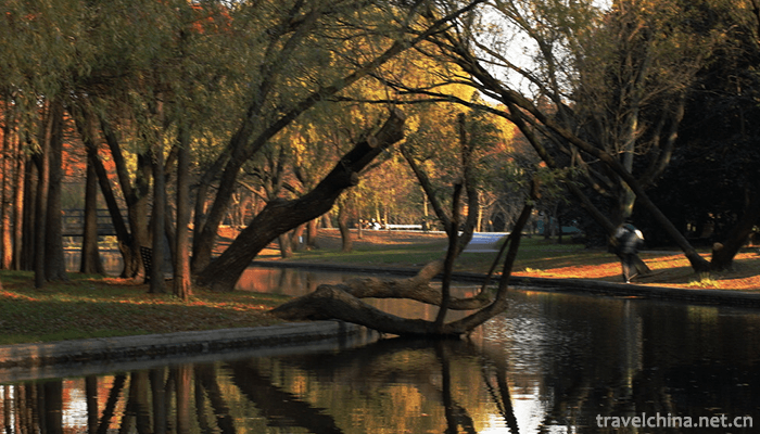 GongQing-Forest-Park-3