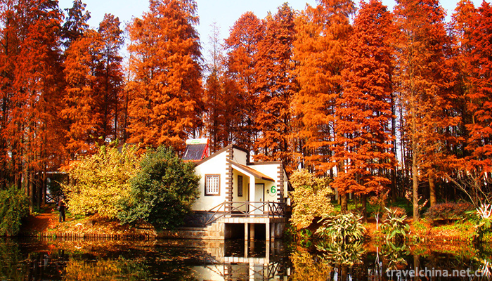 GongQing-Forest-Park-1
