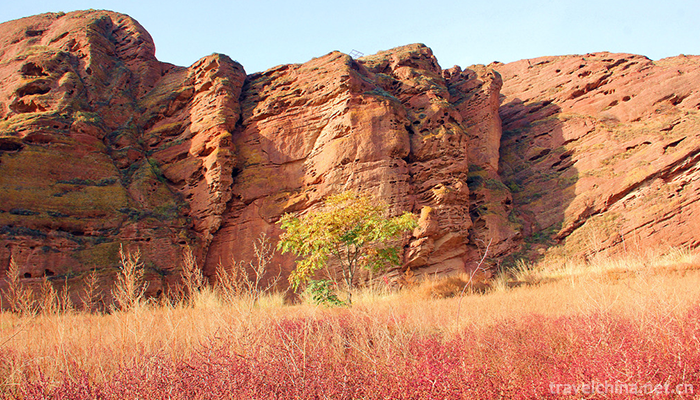 Liupanshan-National-Forest-Park-10
