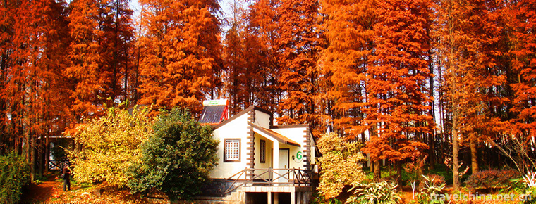 GongQing Forest Park