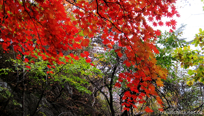 Guanmenshan-National-Forest-Park-11