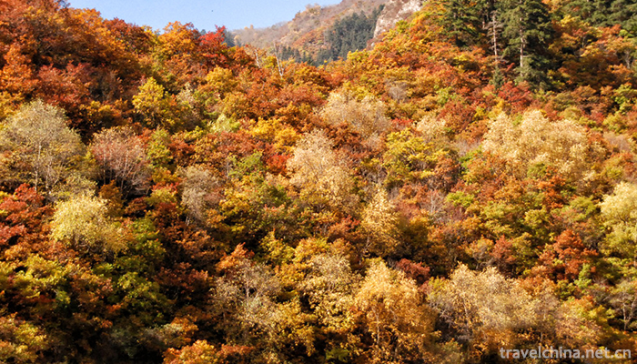 Xinglong-mountain-2