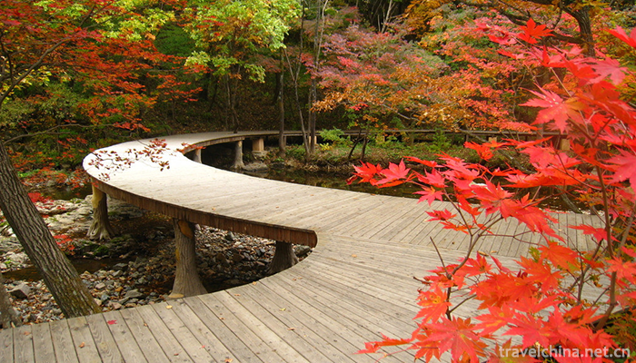 Guanmenshan-National-Forest-Park-2