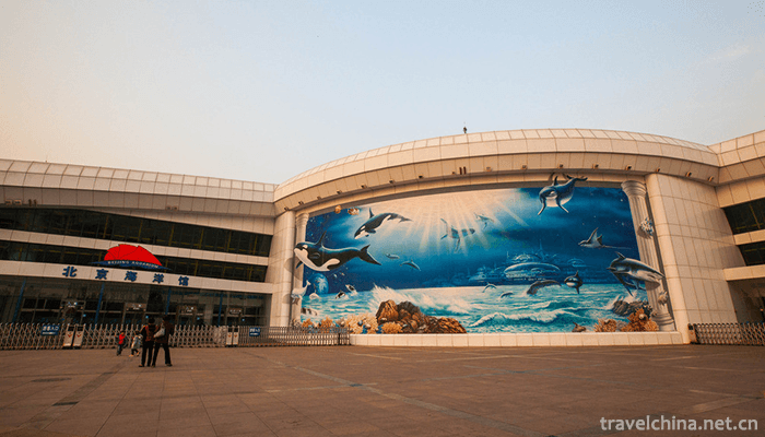 Beijing-Ocean-Hall-6