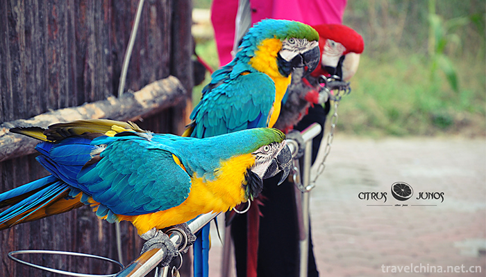 Beijing-Wildlife-Park-4