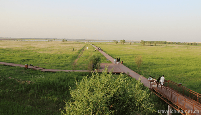 Linhe-Yellow-River-National-Wetland-Park-Inner-Mongolia-3