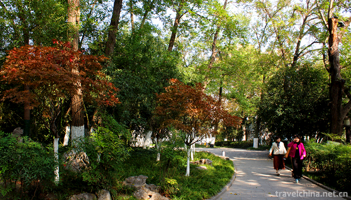 Package-Park-3