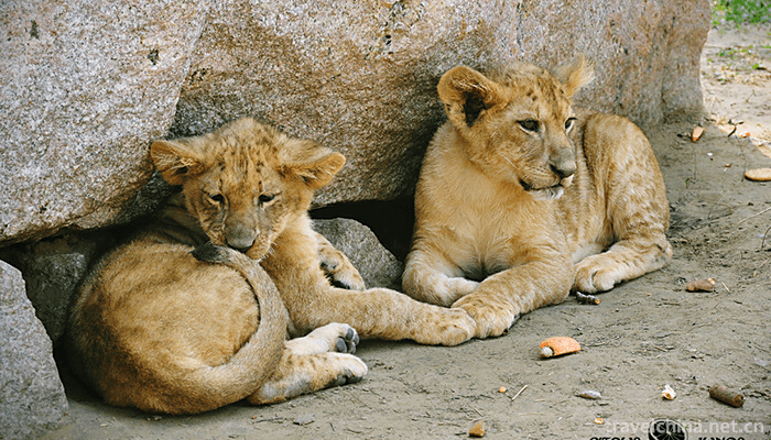 Beijing-Wildlife-Park-6