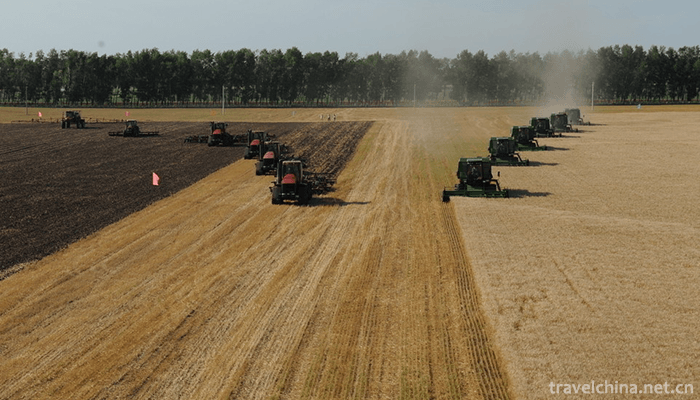 The-Great-Northern-Wilderness-Agricultural-Expo-3