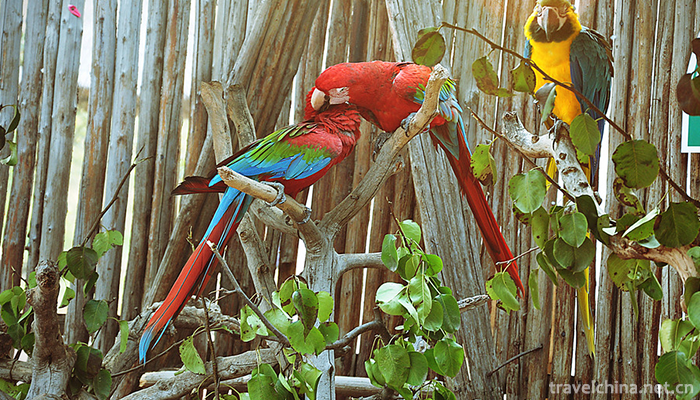 Beijing-Wildlife-Park-14