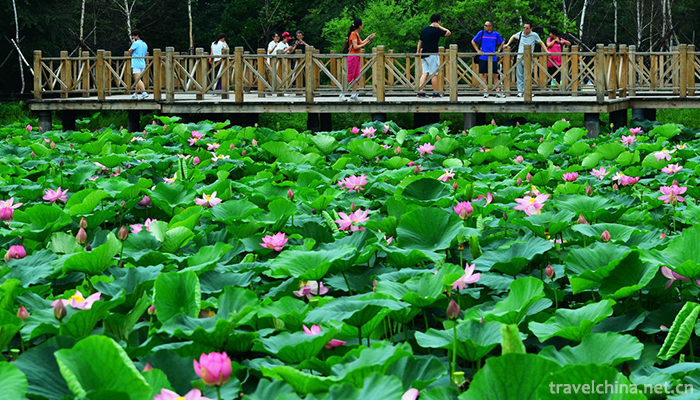 jingyuetan-national-forest-park-2