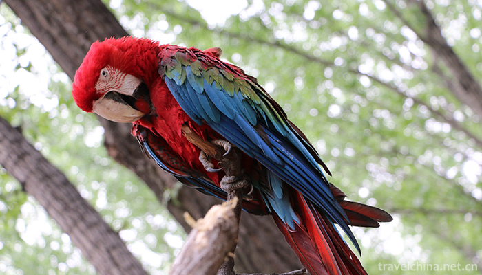 Beijing-Wildlife-Park-16