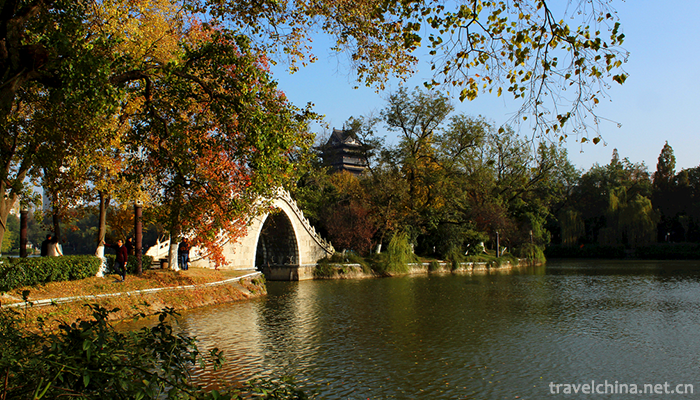 Package-Park-2