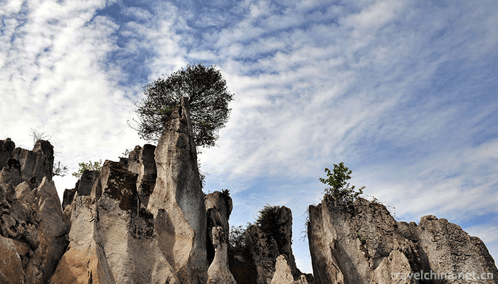 Huaying-Mountain-Tourist-Area-1