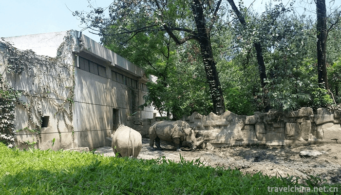 Nanning-Zoo-2