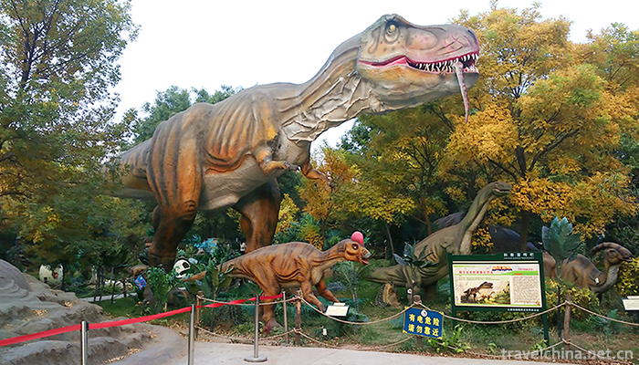 Nanning-Zoo-3