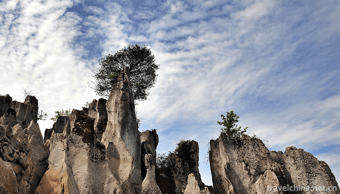Huaying-Mountain-Tourist-Area-5