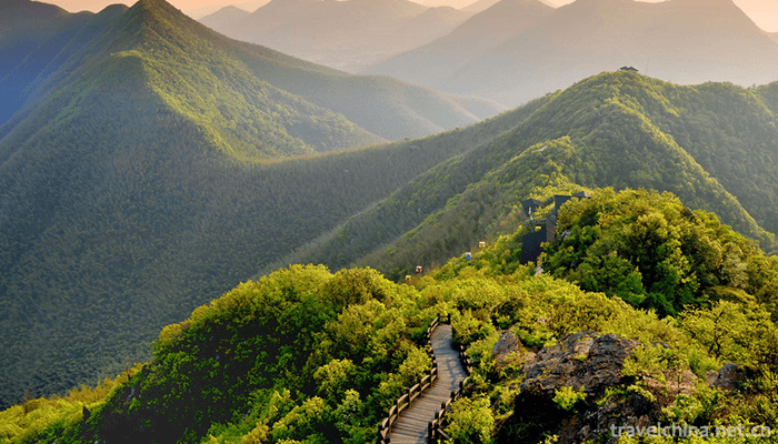Nanshan-Bamboo-Sea-Scenic-Area-11