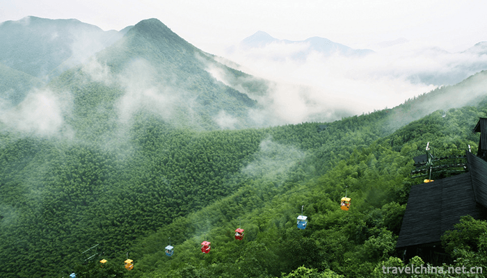 Nanshan-Bamboo-Sea-Scenic-Area-3