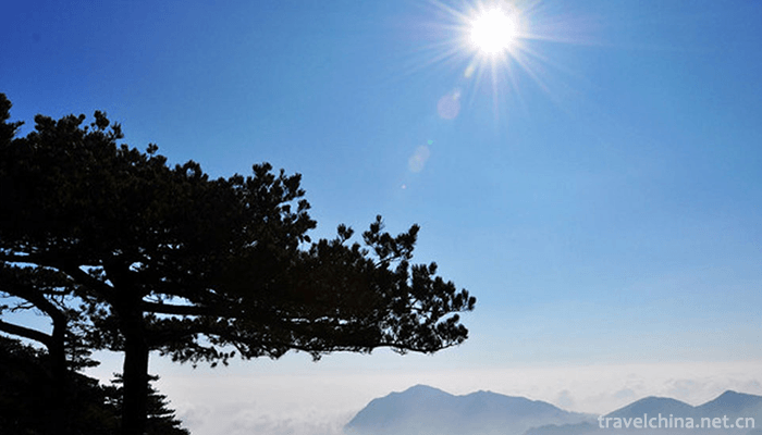 nanling-national-forest-park-4