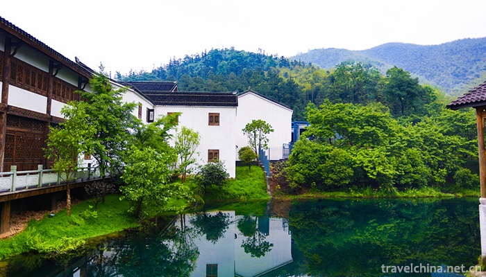 Nanshan-Bamboo-Sea-Scenic-Area-10