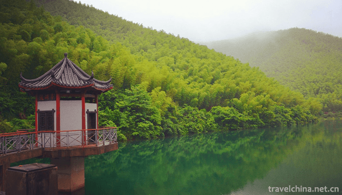 Nanshan-Bamboo-Sea-Scenic-Area-12