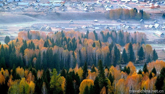 Bashang-grassland-7