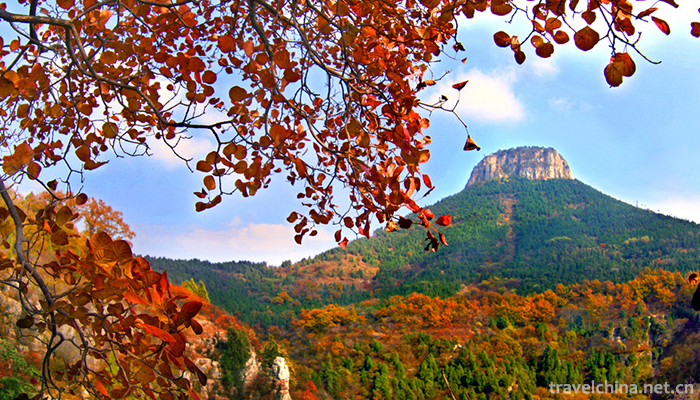 BaoGuGu-National-Forest-Park-1
