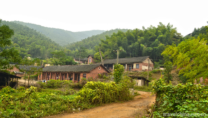 Cai-Lun-Zhuhai-3