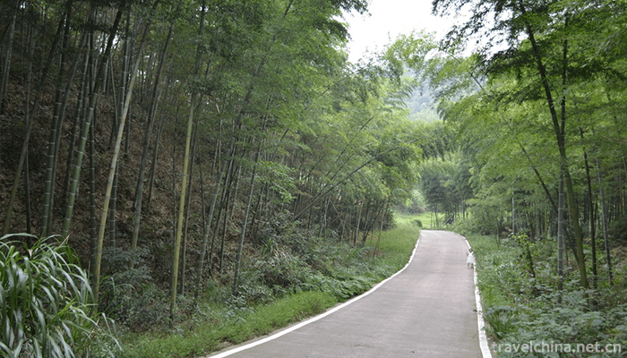 Cai-Lun-Zhuhai-6