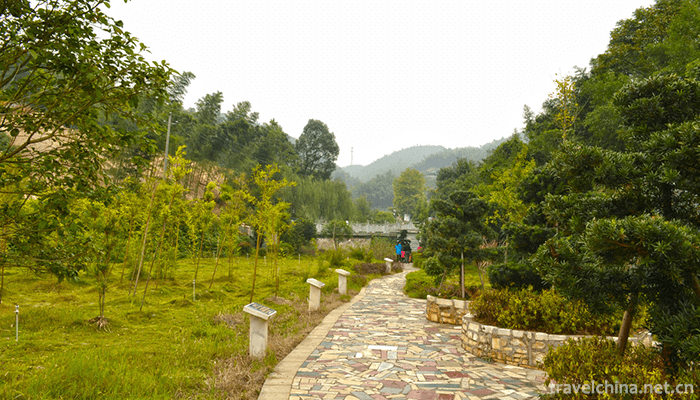 Cai-Lun-Zhuhai-2
