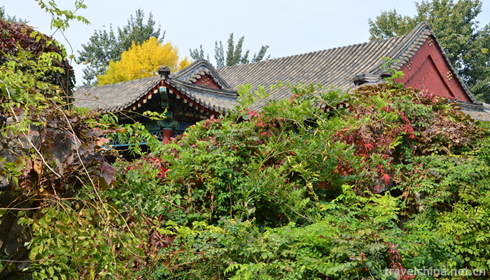Grand-View-Park-1