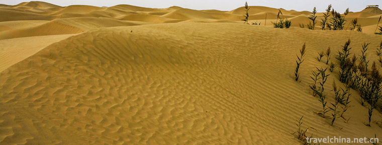 Dawakun Desert Tourist Scenic Area 