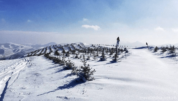 Chongli-Wanlong-Skiing-Ground-3