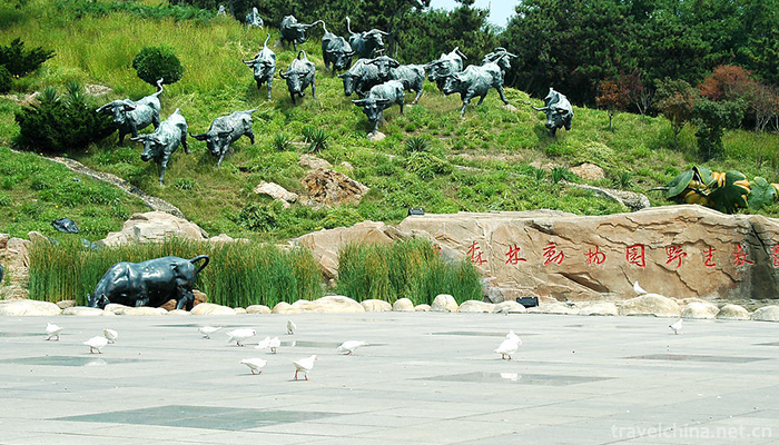 dalian-forest-zoo-8