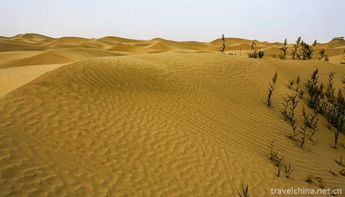Dawakun-Desert-Tourist-Scenic-Area-3