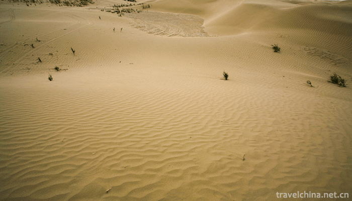 Dawakun-Desert-Tourist-Scenic-Area-1