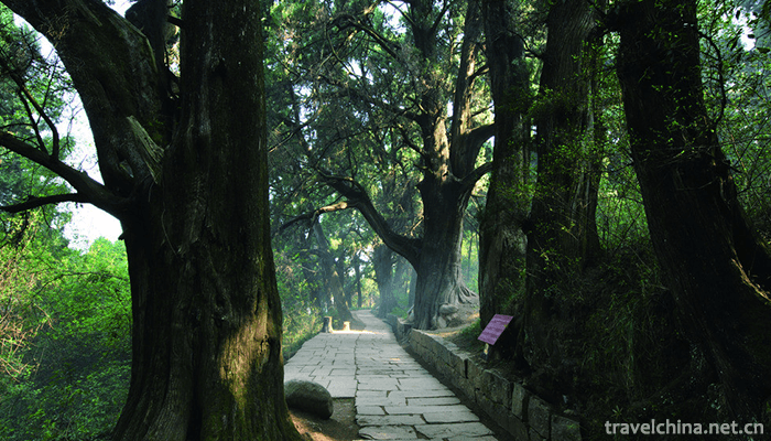 Cuiyun-Lang-Scenic-Area-4