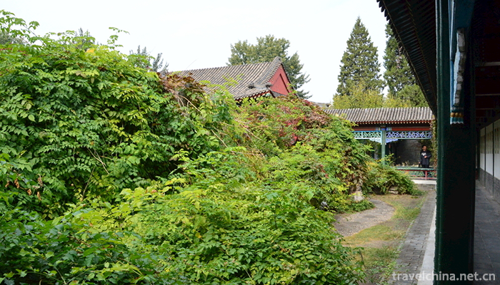 Grand-View-Park-9