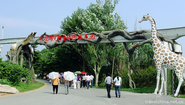 dalian-forest-zoo-9