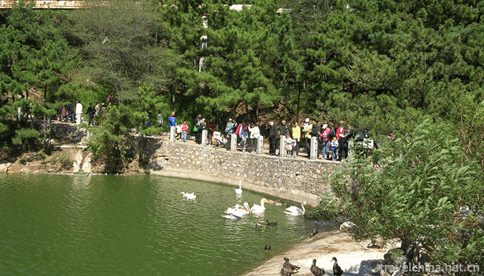 dalian-forest-zoo-10