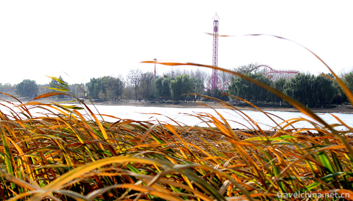 Tongzhou-Forest-Park-of-Grand-Canal-10