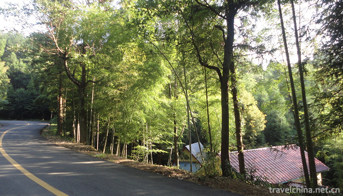 Daweishan-National-Forest-Park-7