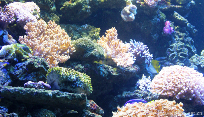 Dalian-Sun-Asia-Ocean-World-8