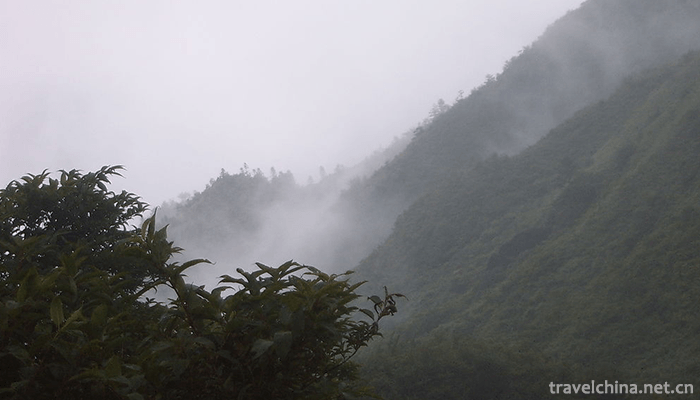 Daweishan-National-Forest-Park-1