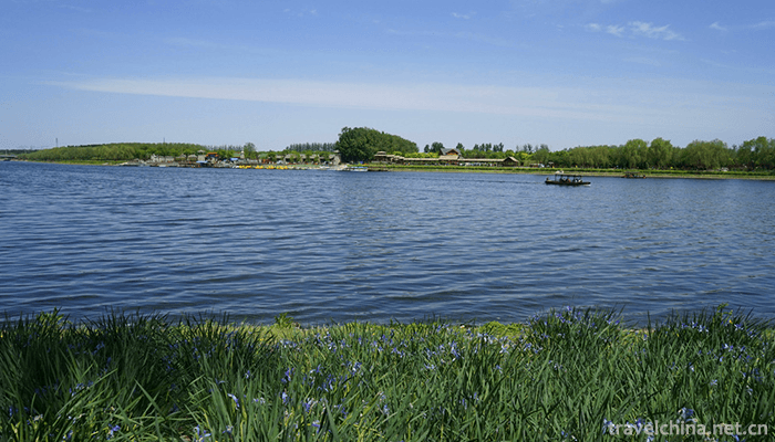 Tongzhou-Forest-Park-of-Grand-Canal-17