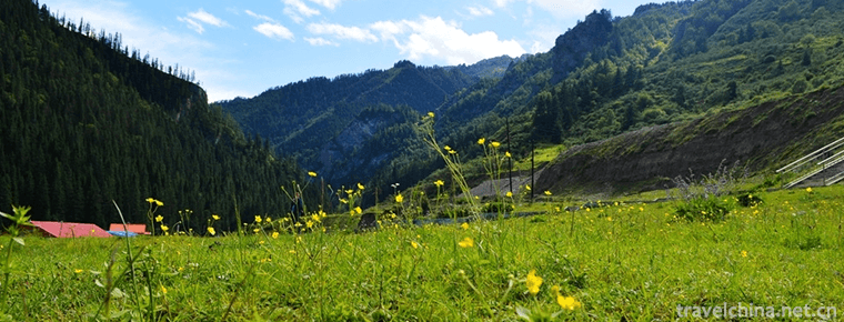 Dayugou Scenic Area 