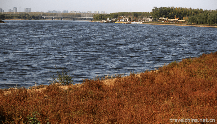 Tongzhou-Forest-Park-of-Grand-Canal-6